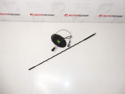 Antenne Citroën C2 C3 9653389980 6567W7