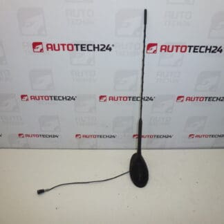 Antenne met sluitring Citroën C5 9650910980 6561Y0