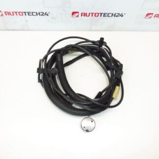 Antennebedrading Citroën C3 Pluriel 964515948002 6561Q8