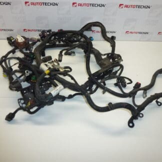 Citroën C4 Picasso hoofdmotor harnas 9674051780 9670855680 6585L0