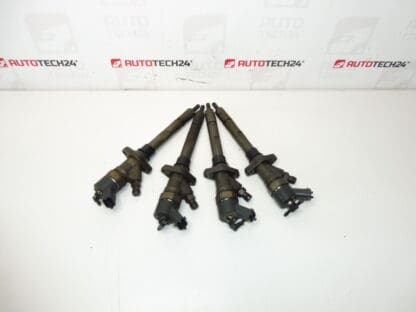 Injectieset Bosch 2.0 en 2.2 HDI 0445110036 tellerstand 182000 km