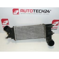 Intercooler 2.0 HDI Citroën Peugeot 9636195580