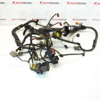 Motorkabelboom Citroën Peugeot 2.2 HDI 9648542580 6558PA