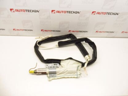 Rechter plafondairbag Peugeot 207 9650247780 8331W9